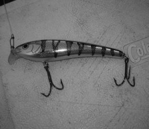 We had some of the most heavy-duty trebles available on our lures.